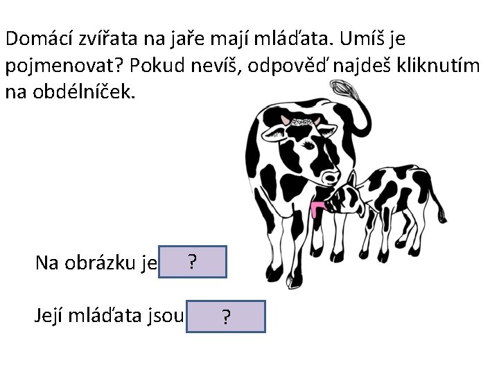 Domácí zvířata na jaře mají mláďata. Umíš je pojmenovat? Pokud nevíš, odpověď najdeš kliknutím