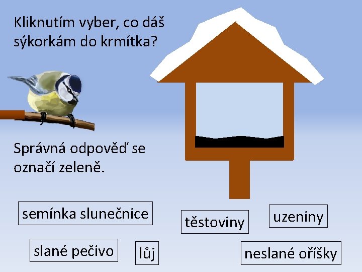 Kliknutím vyber, co dáš sýkorkám do krmítka? Správná odpověď se označí zeleně. semínka slunečnice