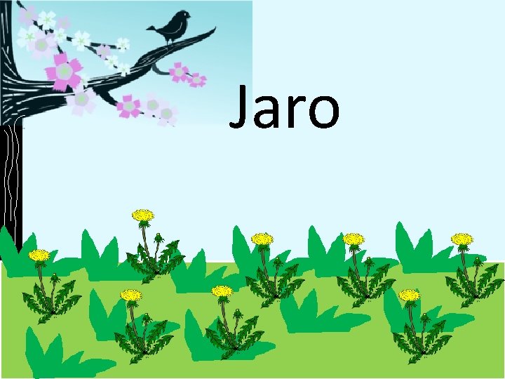 Jaro 