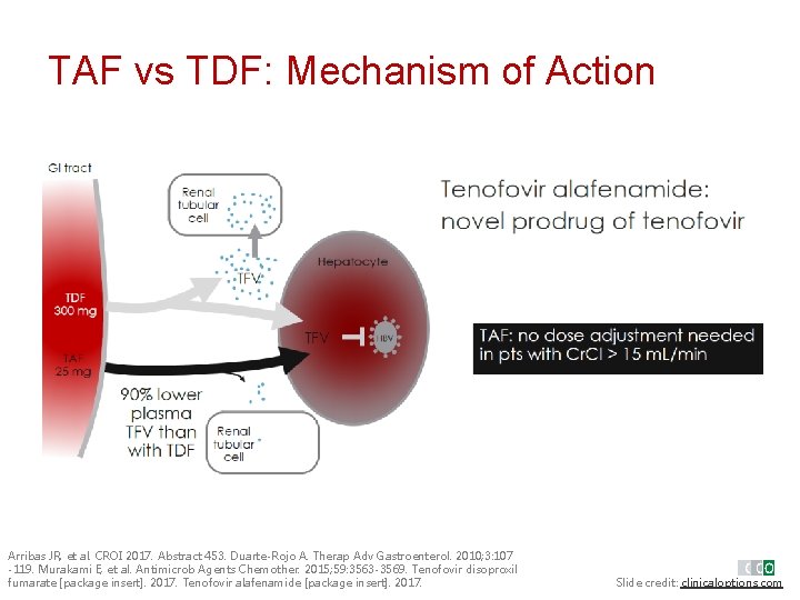 TAF vs TDF: Mechanism of Action Renal tubul ar cell Arribas JR, et al.