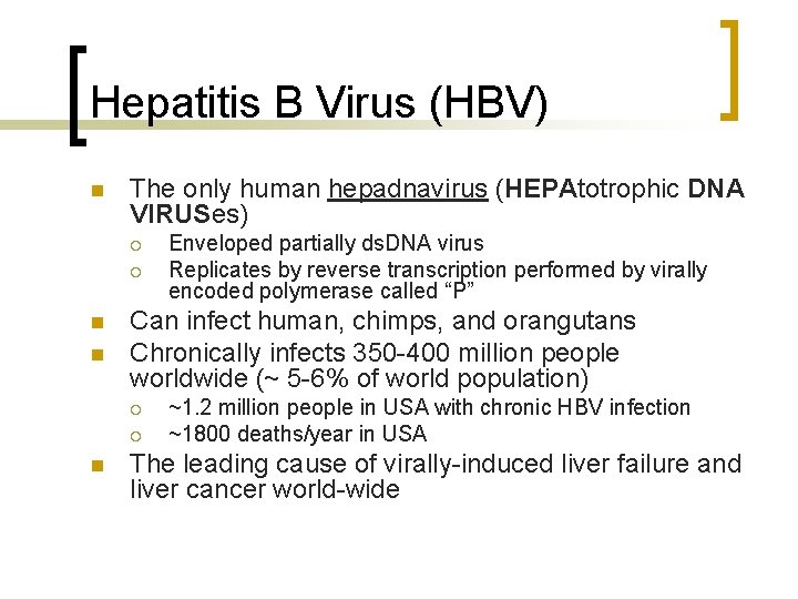 Hepatitis B Virus (HBV) n The only human hepadnavirus (HEPAtotrophic DNA VIRUSes) ¡ ¡