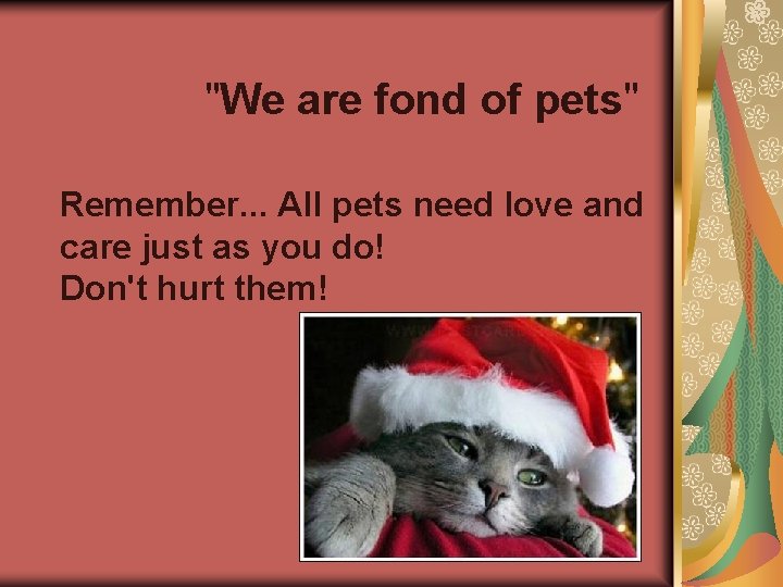 "We are fond of pets" Remember. . . All pets need love and care