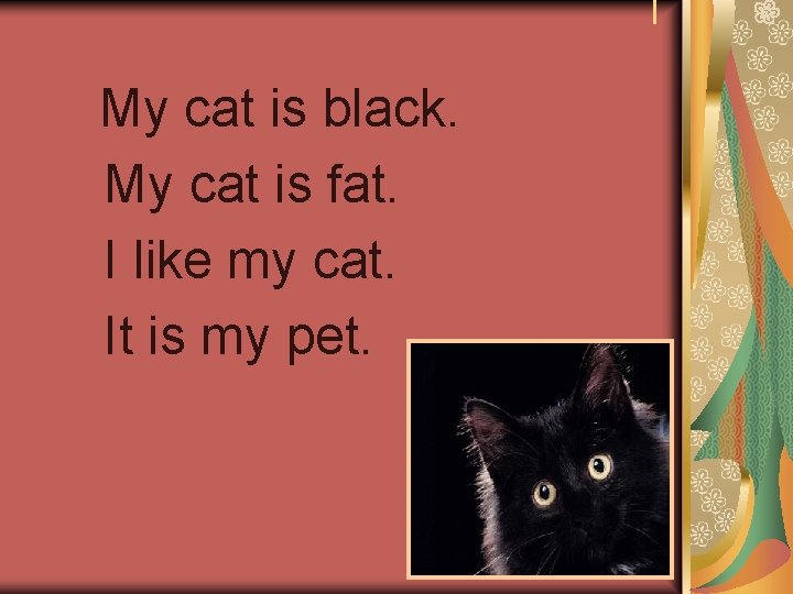 My cat is black. My cat is fat. I like my cat. It is