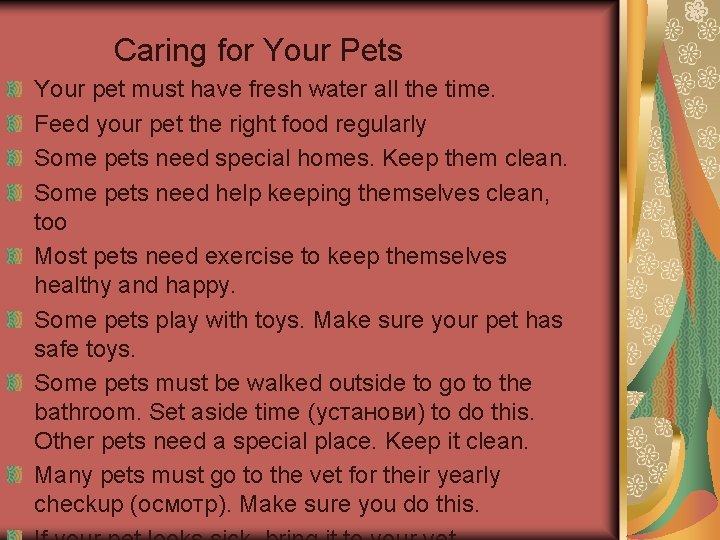 Caring for Your Pets Your pet must have fresh water all the time. Feed