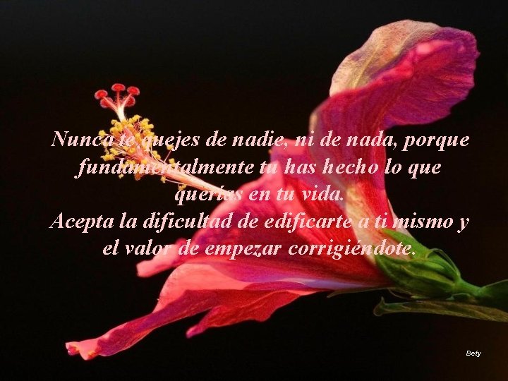 Nunca te quejes de nadie, ni de nada, porque fundamentalmente tu has hecho lo