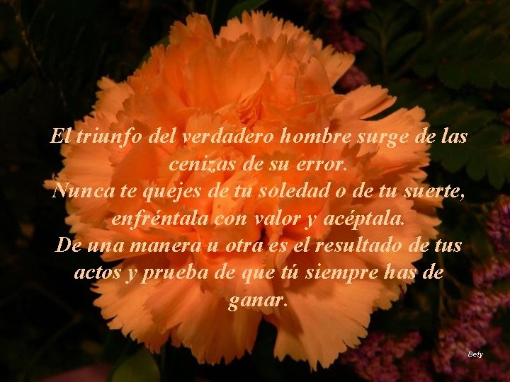 El triunfo del verdadero hombre surge de las cenizas de su error. Nunca te