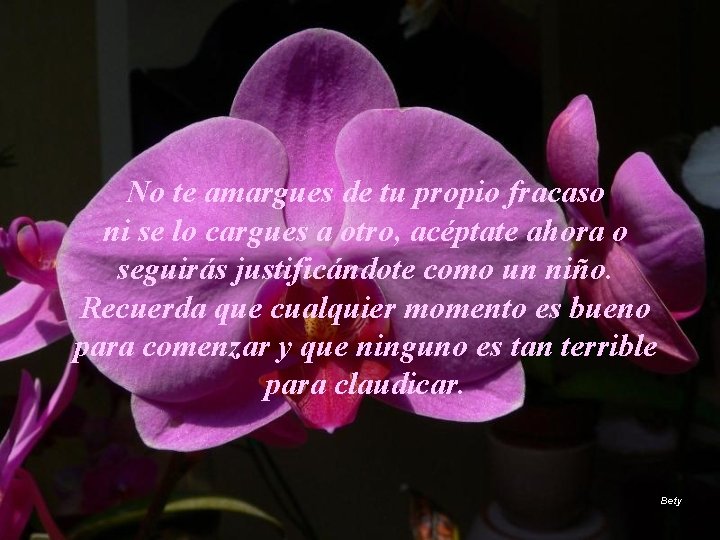 No te amargues de tu propio fracaso ni se lo cargues a otro, acéptate