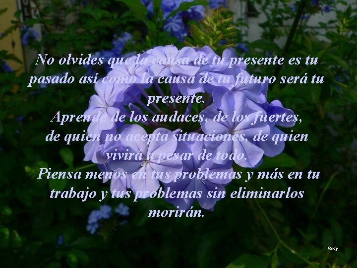 No olvides que la causa de tu presente es tu pasado así como la