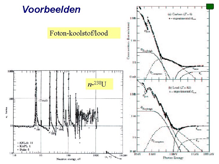 Voorbeelden Foton-koolstof/lood n-238 U Voorjaar 2010 