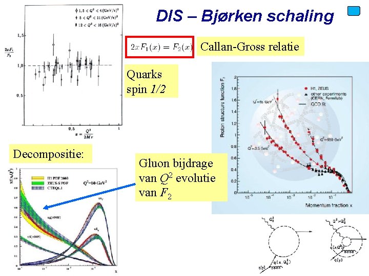 DIS – Bjørken schaling Callan-Gross relatie Quarks spin 1/2 Decompositie: Voorjaar 2010 Gluon bijdrage