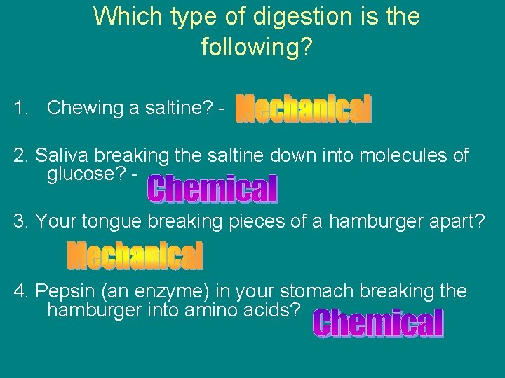 Which type of digestion is the following? 1. Chewing a saltine? 2. Saliva breaking