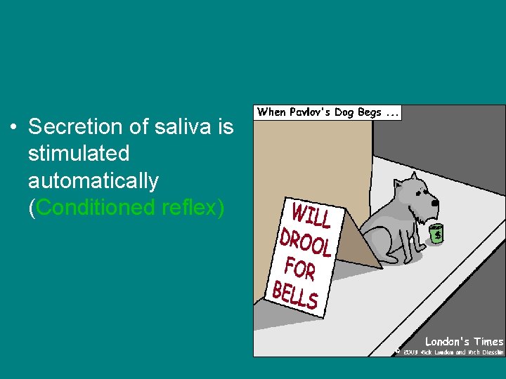  • Secretion of saliva is stimulated automatically (Conditioned reflex) 