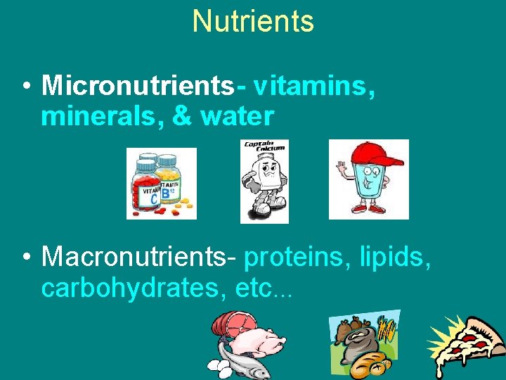 Nutrients • Micronutrients- vitamins, minerals, & water • Macronutrients- proteins, lipids, carbohydrates, etc… 