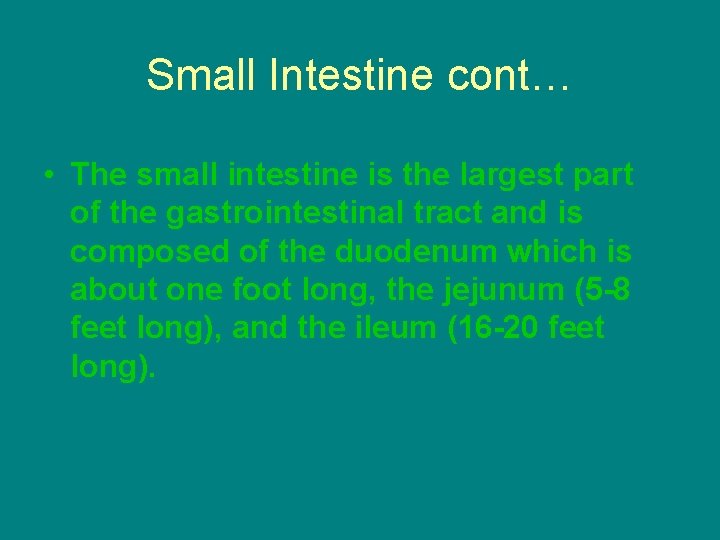 Small Intestine cont… • The small intestine is the largest part of the gastrointestinal