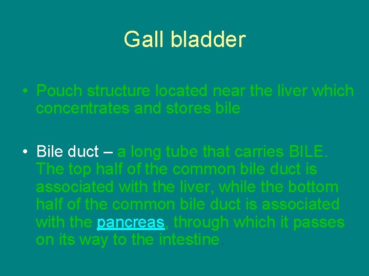 Gall bladder • Pouch structure located near the liver which concentrates and stores bile