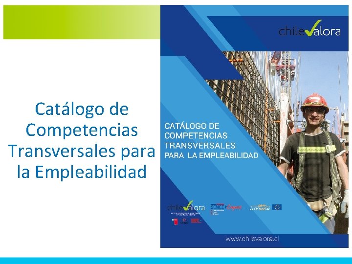Catálogo de Competencias Transversales para la Empleabilidad 