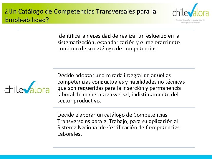 ¿Un Catálogo de Competencias Transversales para la Empleabilidad? Identifica la necesidad de realizar un