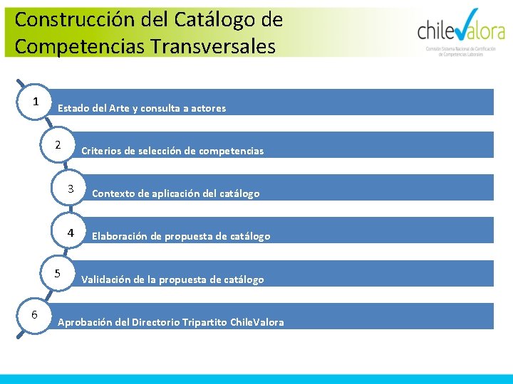 Construcción del Catálogo de Competencias Transversales 1 Estado del Arte y consulta a actores