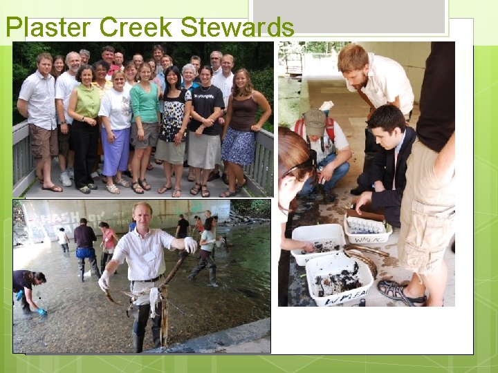 Plaster Creek Stewards 