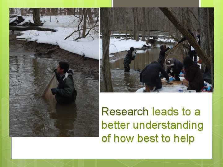 Research leads to a better understanding of how best to help 