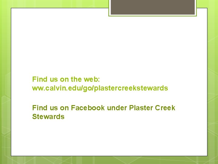 Find us on the web: ww. calvin. edu/go/plastercreekstewards Find us on Facebook under Plaster