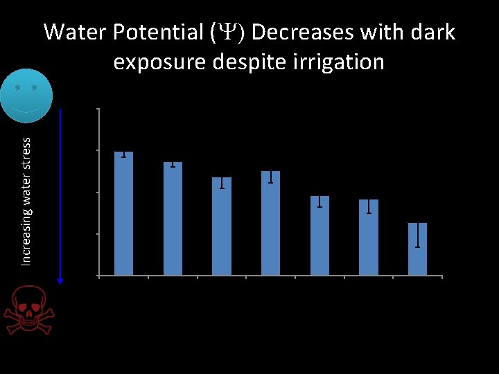 Water Potential (Y) Decreases with dark exposure despite irrigation ‐ 1 Y (MPa) Increasing