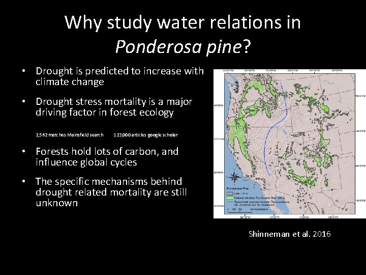 Why study water relations in Ponderosa pine? • Drought is predicted to increase with