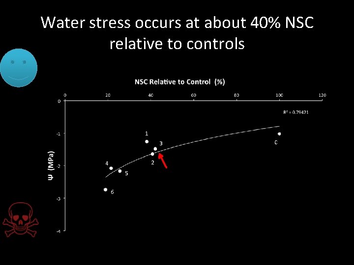 Water stress occurs at about 40% NSC relative to controls 1 3 2 4