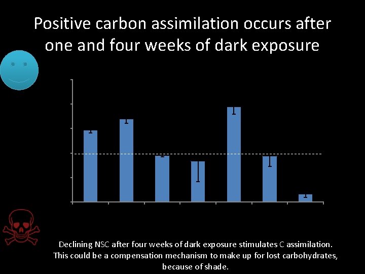 Positive carbon assimilation occurs after one and four weeks of dark exposure 6 A
