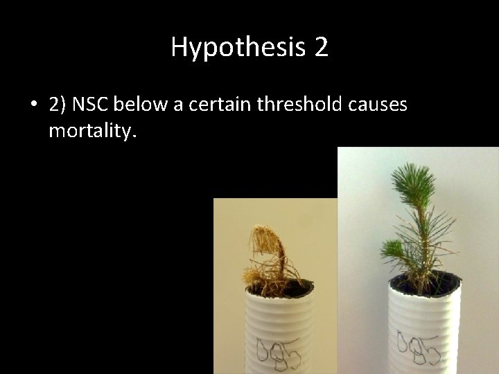 Hypothesis 2 • 2) NSC below a certain threshold causes mortality. 