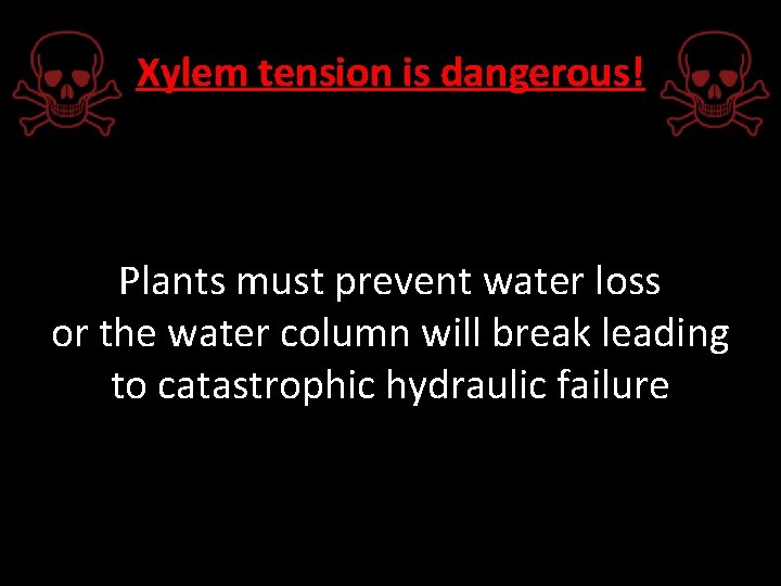 Xylem tension is dangerous! Plants must prevent water loss or the water column will