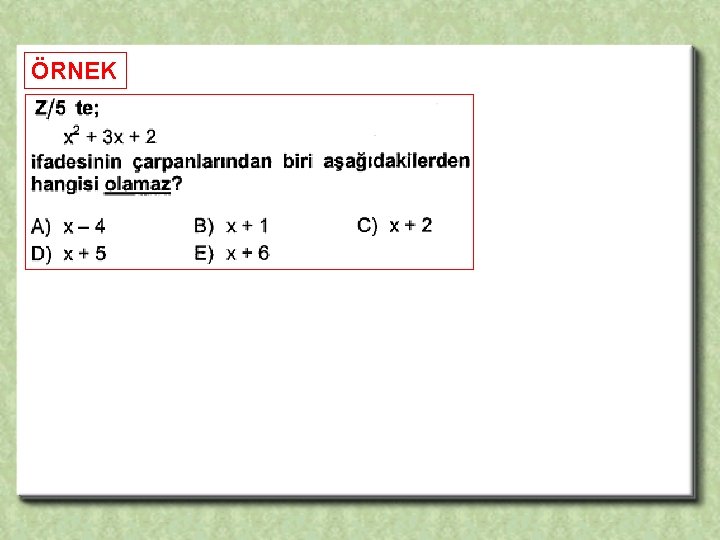 ÖRNEK 