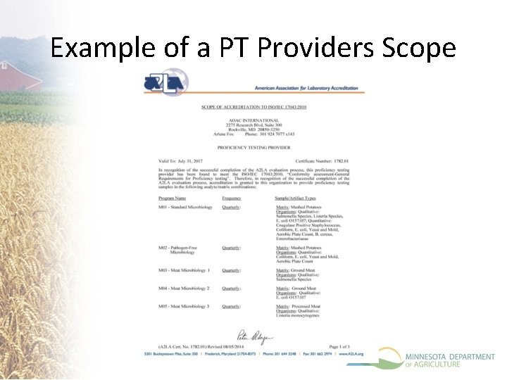 Example of a PT Providers Scope 