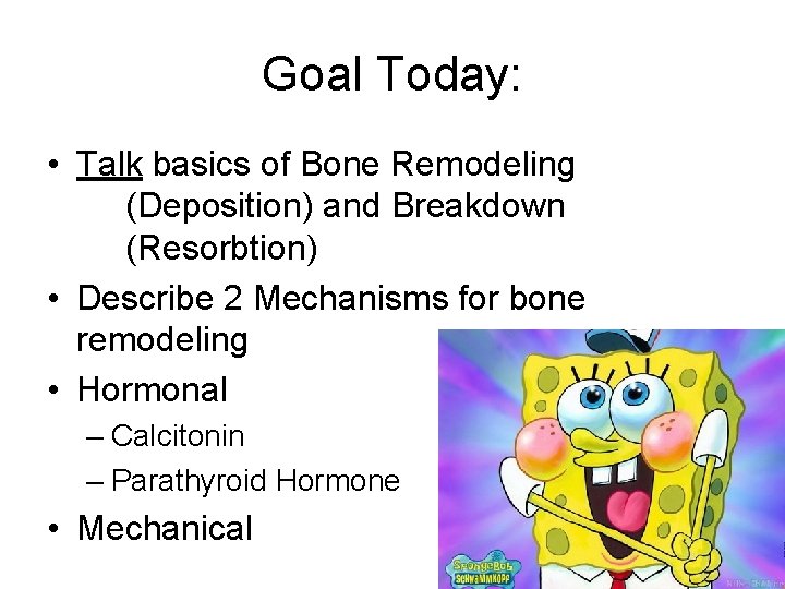 Goal Today: • Talk basics of Bone Remodeling (Deposition) and Breakdown (Resorbtion) • Describe