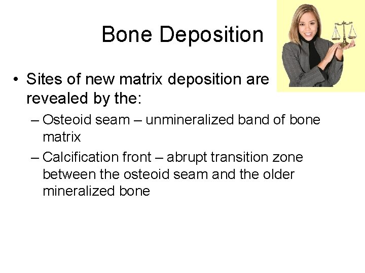 Bone Deposition • Sites of new matrix deposition are revealed by the: – Osteoid