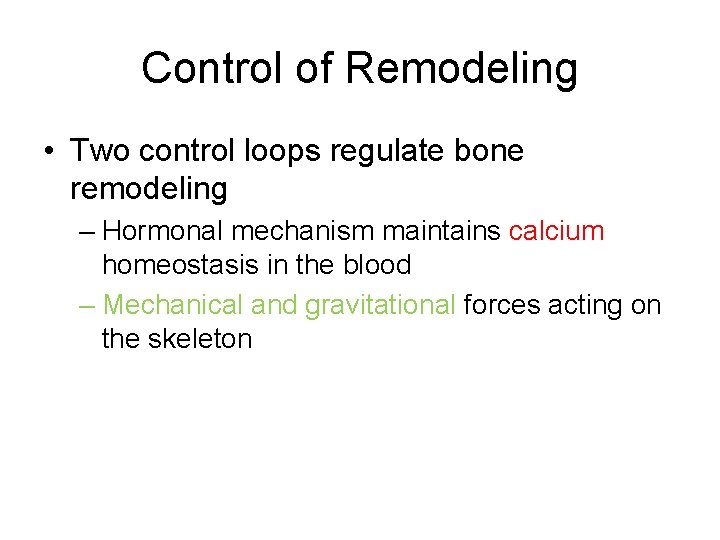 Control of Remodeling • Two control loops regulate bone remodeling – Hormonal mechanism maintains