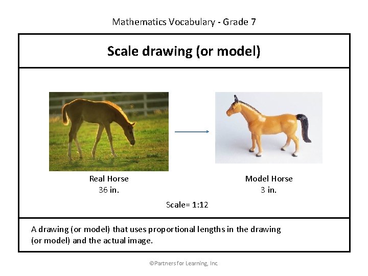 Mathematics Vocabulary - Grade 7 Scale drawing (or model) Model Horse 3 in. Real