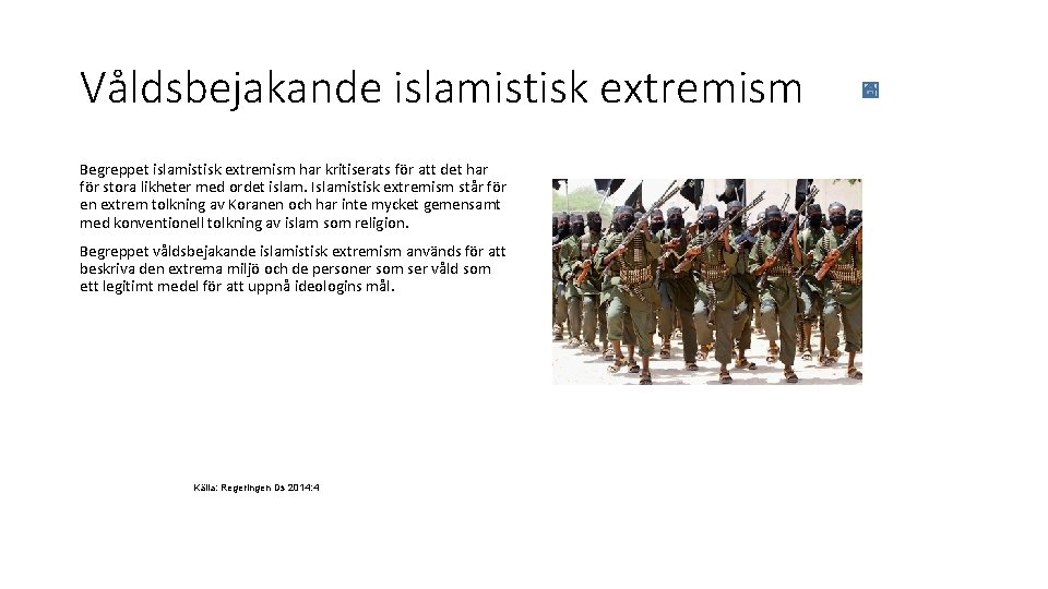 Våldsbejakande islamistisk extremism Begreppet islamistisk extremism har kritiserats för att det har för stora