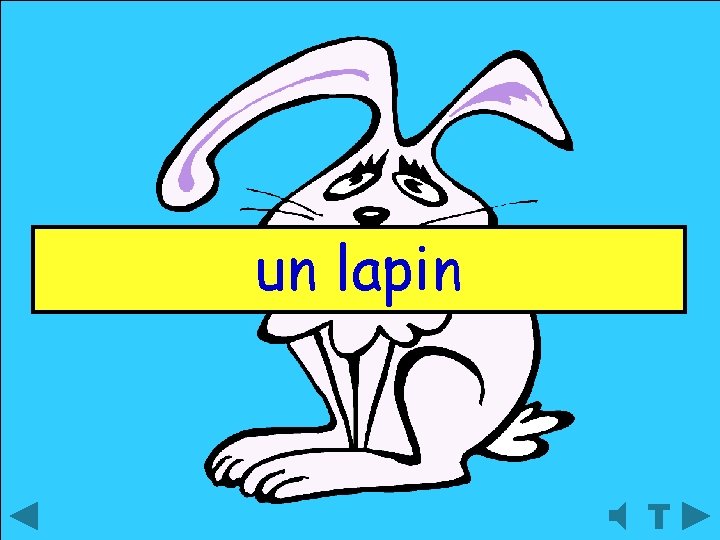 un lapin 