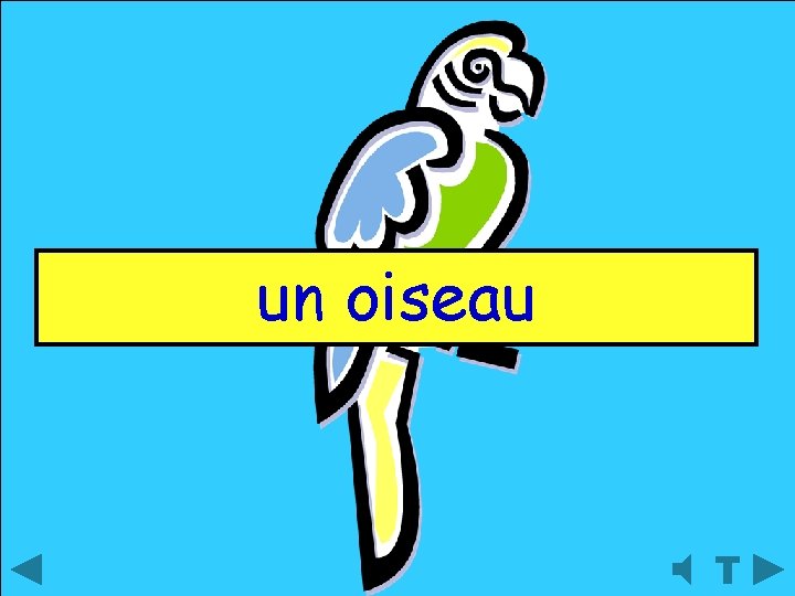 un oiseau 