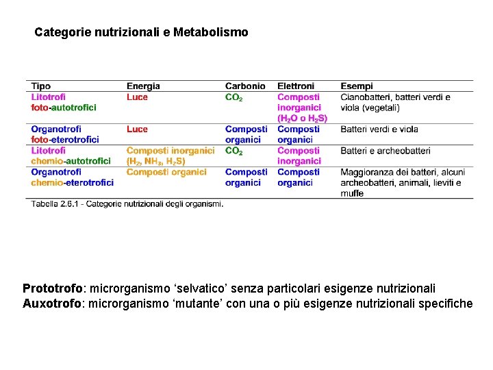 Categorie nutrizionali e Metabolismo Prototrofo: microrganismo ‘selvatico’ senza particolari esigenze nutrizionali Auxotrofo: microrganismo ‘mutante’