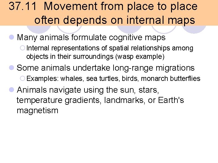 37. 11 Movement from place to place often depends on internal maps l Many 37. 11 Movement from place to place often depends on internal maps l Many