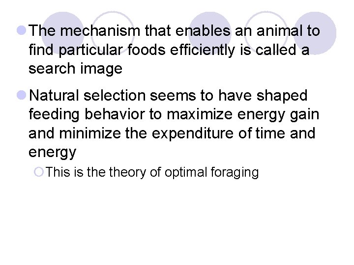 l The mechanism that enables an animal to find particular foods efficiently is called l The mechanism that enables an animal to find particular foods efficiently is called