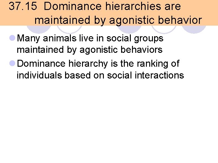 37. 15 Dominance hierarchies are maintained by agonistic behavior l Many animals live in 37. 15 Dominance hierarchies are maintained by agonistic behavior l Many animals live in