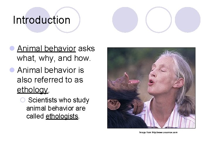 Introduction l Animal behavior asks what, why, and how. l Animal behavior is also Introduction l Animal behavior asks what, why, and how. l Animal behavior is also