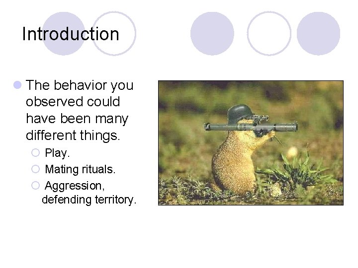 Introduction l The behavior you observed could have been many different things. ¡ Play. Introduction l The behavior you observed could have been many different things. ¡ Play.