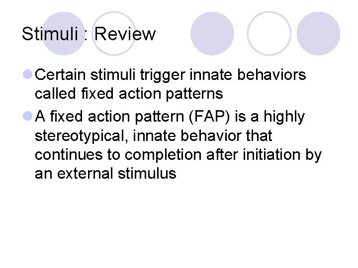 Stimuli : Review l Certain stimuli trigger innate behaviors called fixed action patterns l Stimuli : Review l Certain stimuli trigger innate behaviors called fixed action patterns l