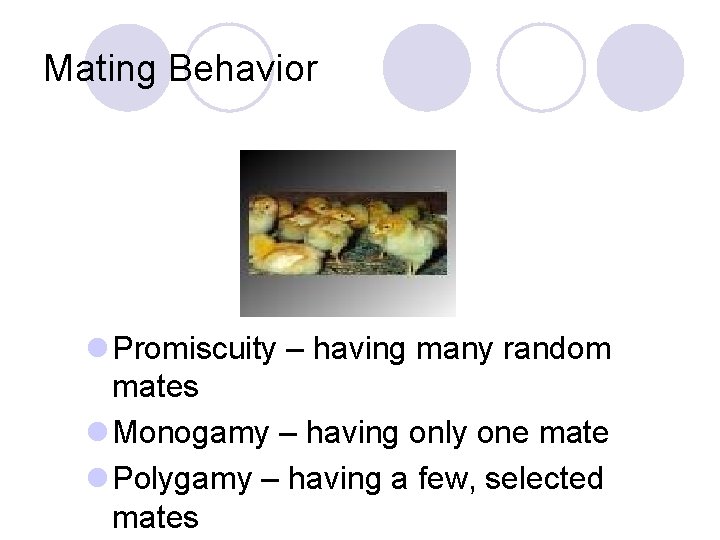 Mating Behavior l Promiscuity – having many random mates l Monogamy – having only Mating Behavior l Promiscuity – having many random mates l Monogamy – having only