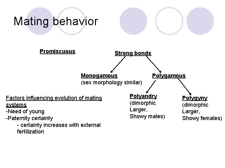 Mating behavior Promiscuous Strong bonds Monogamous (sex morphology similar) Factors influencing evolution of mating Mating behavior Promiscuous Strong bonds Monogamous (sex morphology similar) Factors influencing evolution of mating
