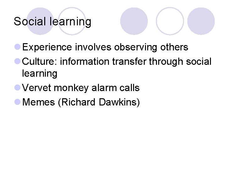 Social learning l Experience involves observing others l Culture: information transfer through social learning Social learning l Experience involves observing others l Culture: information transfer through social learning